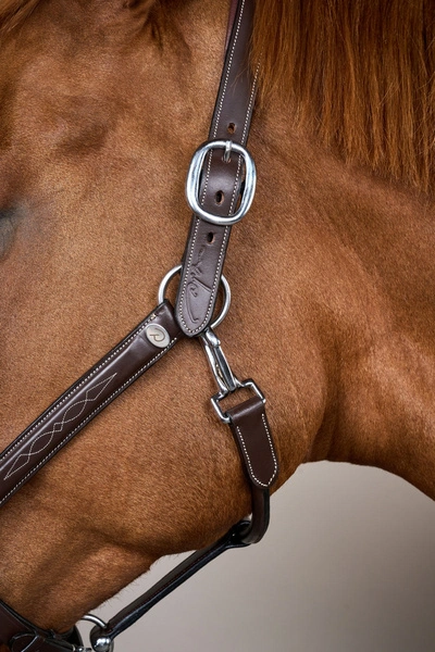 Dy'on kantar Head Collar Fancy - brązowy