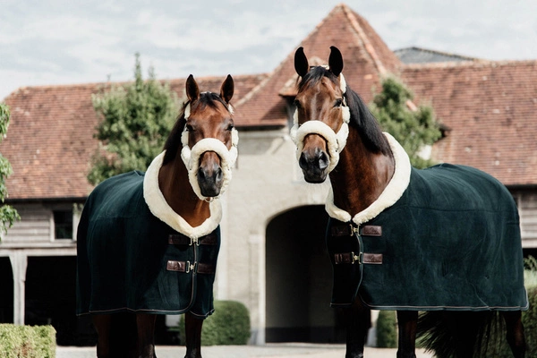 Kentucky derka polarowa Heavy Show - ciemna zieleń