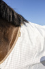 Derka Kentucky Sweet Itch Fly & Summer Sheet Comfort
