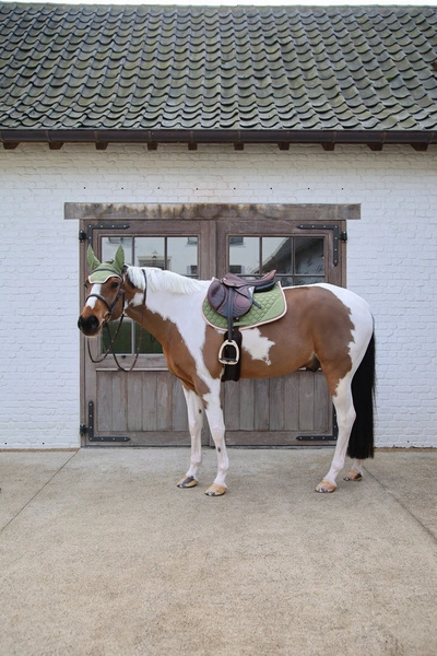 Kentucky czaprak Softshell Onion Quilt - khaki