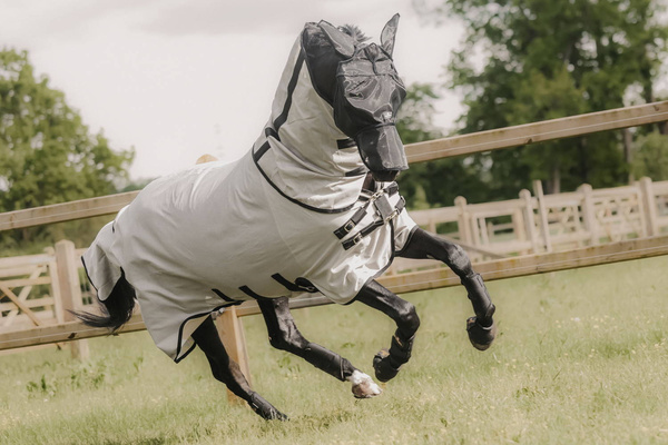 Derka Kentucky Mesh Fly Rug
