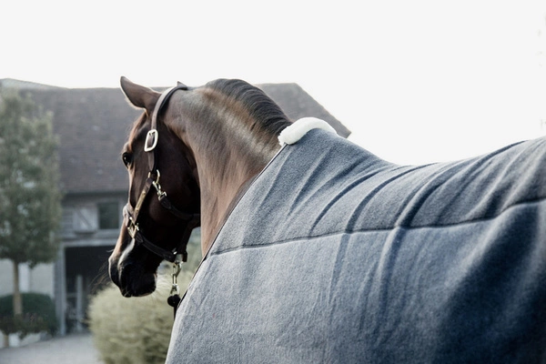 Kentucky derka polarowa Heavy - szara