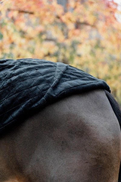 Kentucky derka stajenna bez wypełnienia - czarna