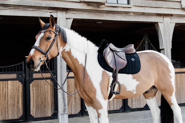 Kentucky czaprak Skin Friendly Velvet - czarny