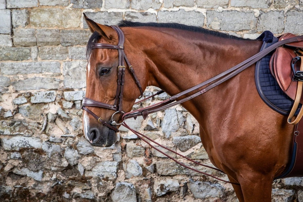 Dy'on wodza pomocnicza D Collection 5/8