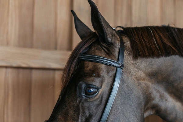 Ogłowie Dy'on z nachrapnikiem angielskim Working bez podgardla