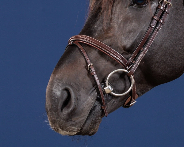 Skórzany nachrapnik angielski Dy'on US Jumping - brązowy