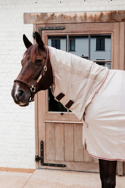 Derka Kentucky Mesh Fly Rug Comfort Classic with Neck and Belly Cover