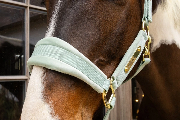 Kentucky kantar anatomiczny Velvet - miętowy