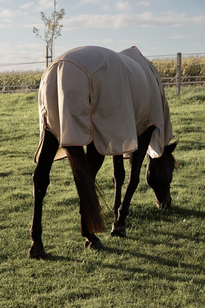 Derka Kentucky Mesh Fly Rug Comfort