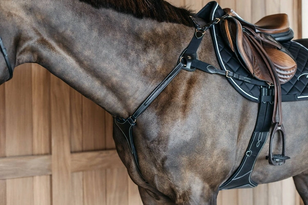 5-punktowy skórzany napierśnik Dy'on D Collection - czarny