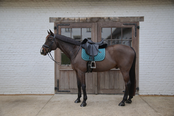 Podkładka Kentucky Sheepskin Half Pad Absorb 10mm - czarna