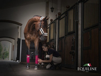 Komplet polarowych bandaży Equiline Polo - bordowe