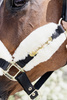 Kentucky kantar podszyty futrem Soft - naturalny