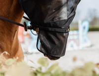  Kentucky Fly Mask PRO - maska na owady