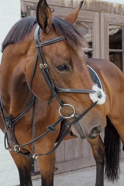 Skórzano-elastyczny napierśnik z plecionką Dy'on Bridge Breastplate D Collection - czarny