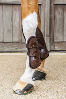 Kentucky Tendon Boots Elastic Knee Protection na przednie nogi - brązowe