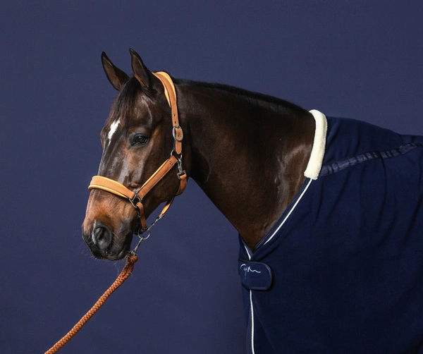 Dy'on kantar Nubuck - jasnobrązowy