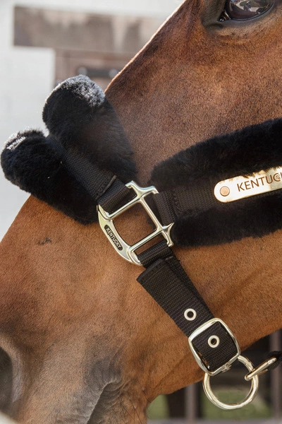 Kentucky kantar podszyty futrem Soft - czarny