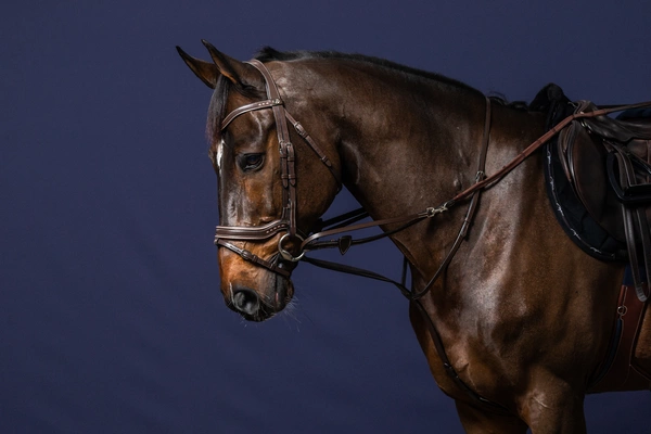 Dy'on Howlett Training System - czarny