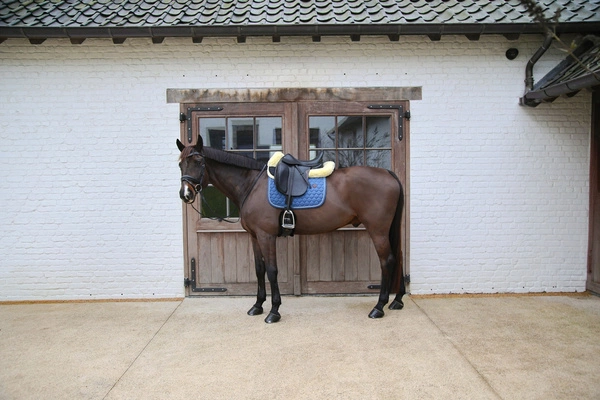 Podkładka Kentucky Sheepskin Half Pad Absorb 10mm - naturalna