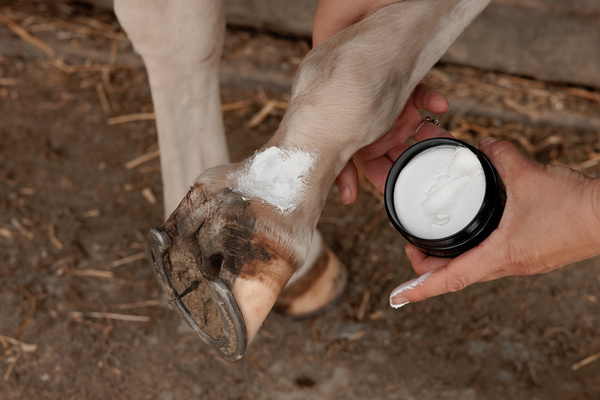Maść na grudę Mud Fever Cream Plus 250g - Kentucky Grooming Deluxe