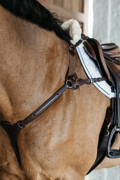 5-punktowy skórzany napierśnik Dy'on D Collection