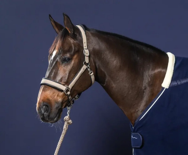 Dy'on kantar Nubuck - szary