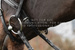 Dy'on łańcuszek do Hackamore Chain 5/8" New English - czarny