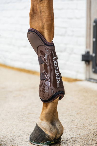 Kentucky Tendon Boots Elastic Knee Protection na przednie nogi - brązowe
