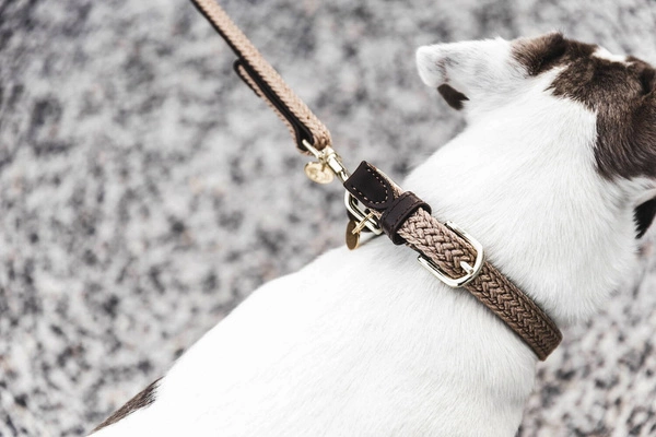 Pleciona smycz Kentucky Nylon 1,2m - beżowa