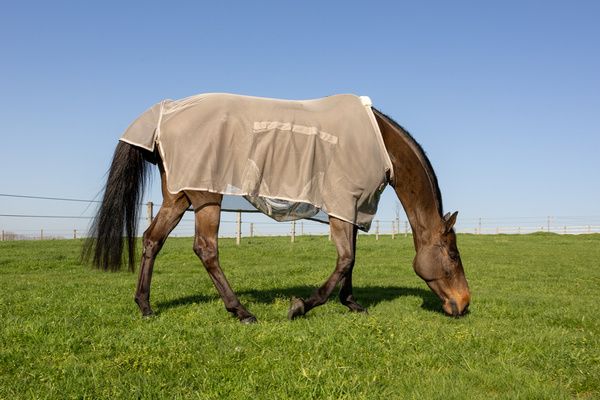 Derka Kentucky Fly Rug with Belly Cover Comfort