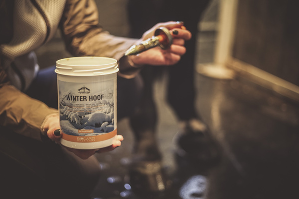 Veredus zimowa maść do kopyt Winter Hoof 1 L
