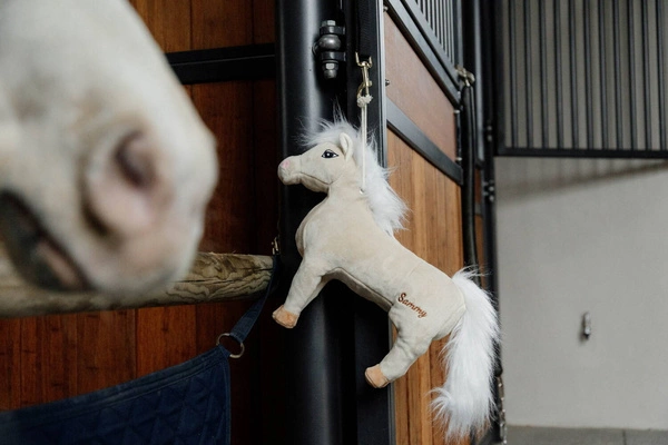 Kentucky Przyjaciel do boksu Sammy