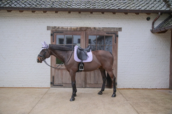 Kentucky czaprak Softshell Onion Quilt - jasny fiolet