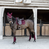 Kentucky czaprak Velvet - bordowy