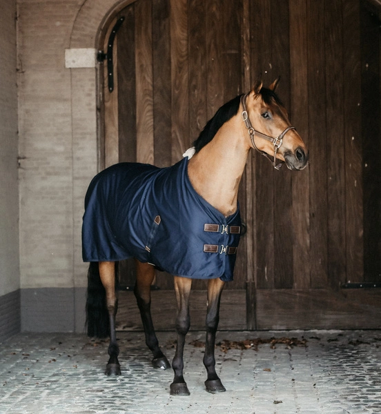 Kentucky derka bawełniana Cotton Sheet - granatowa