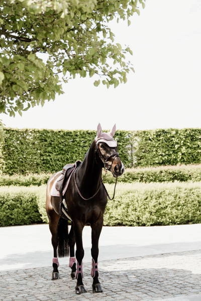 Kentucky ochraniacze Young Horse Fetlock na zadnie nogi - różowe