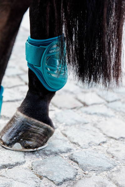 Kentucky ochraniacze Young Horse Fetlock na zadnie nogi - szmaragdowe