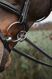 Gumowe wodze z 7 stoperami i zapięciem pierścieniowym 1/2" Dy'on Working