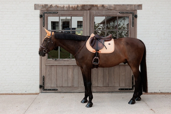 Kentucky czaprak Velvet Printing - pomarańczowy