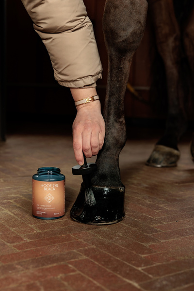 GD Hoof Oil Shine 500ml czarny - Kentucky Grooming Deluxe