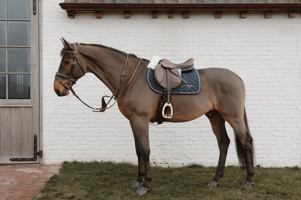 Elastyczny wytok Elastic BIB Martingale Dy'on D Collection - brązowy