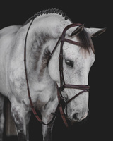 Ogłowie Equiline z przeszyciami BJ301 - brązowe
