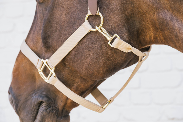 Kentucky kantar Nylon Halter Breakaway - beżowy