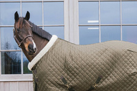 Kentucky derka stajenna 160g - khaki