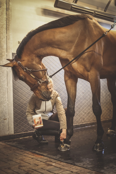 Veredus maść do kopyt Golden Hoof 5 L