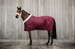 Kentucky derka stajenna Show 160 g - bordowa