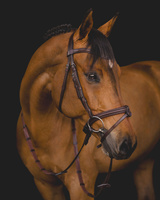 Ogłowie Equiline BJ300 - brązowe