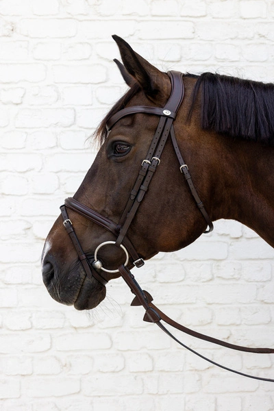 Ogłowie Dy'on New English Flash Noseband Bridle - Soft Collection - brązowe